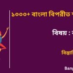 Bangla Biporit Shobdo Part-2 in Bengali